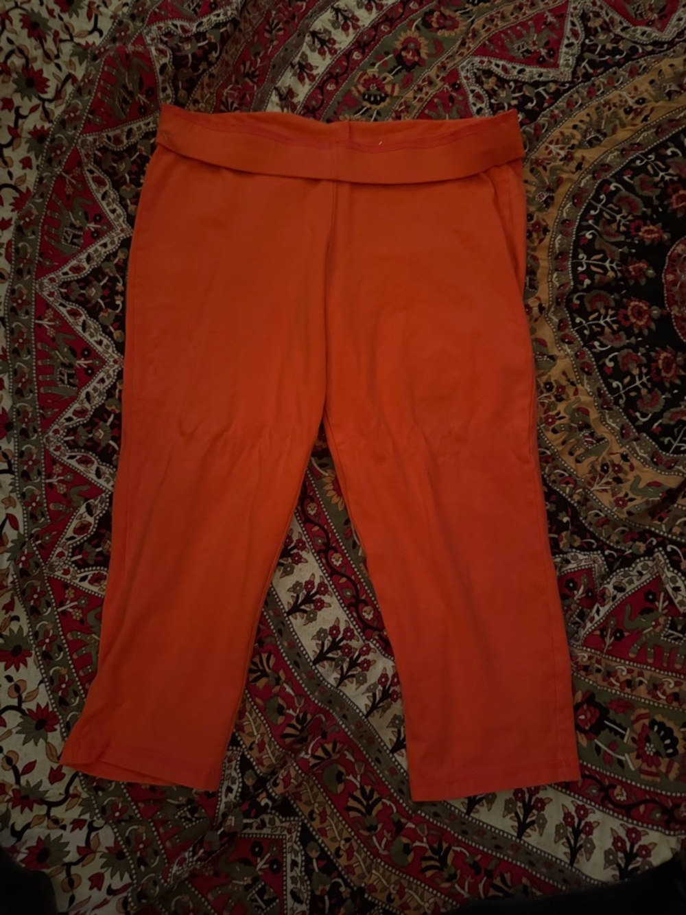 Vibrant Orange Knit Capri Pants